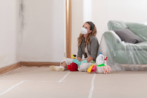 Reliable Mold Inspection contractor in Phoenixville, PA by WQB Mold Removal