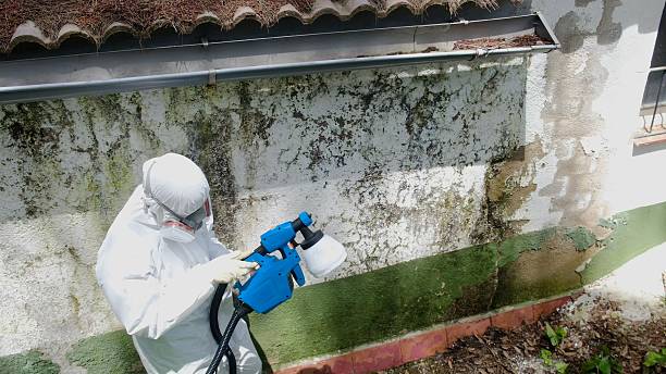 Top rated local Mold Inspection specialists in Phoenixville, PA